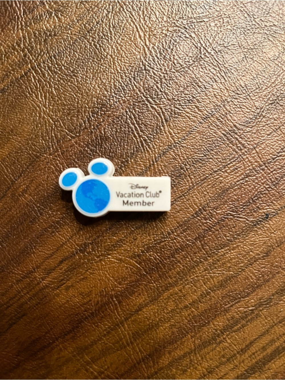 Disney Vacation Club Member Magic Band Slider
